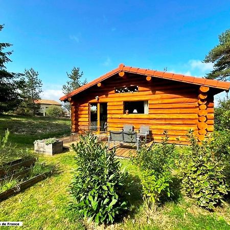 Pialous:Chalet en rondins avec Espace Détente La Chapelle-d'Aurec Exterior foto