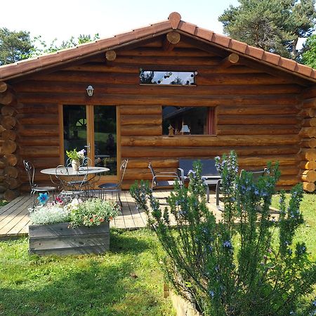 Pialous:Chalet en rondins avec Espace Détente La Chapelle-d'Aurec Exterior foto